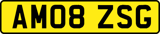AM08ZSG