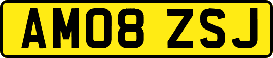 AM08ZSJ
