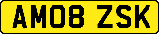 AM08ZSK