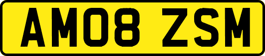 AM08ZSM