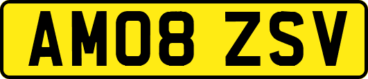 AM08ZSV