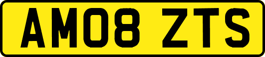 AM08ZTS
