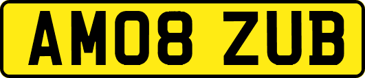 AM08ZUB