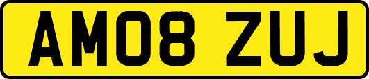 AM08ZUJ