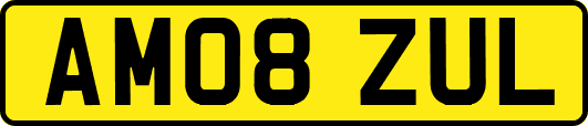 AM08ZUL