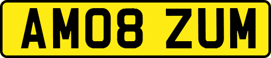 AM08ZUM