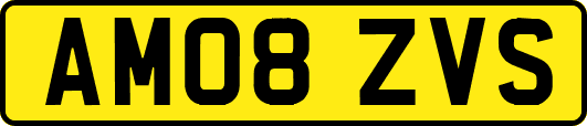 AM08ZVS