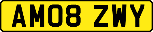 AM08ZWY