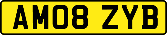 AM08ZYB