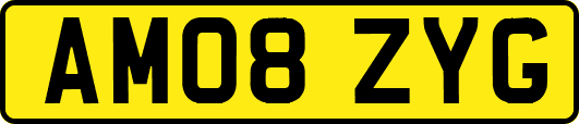 AM08ZYG