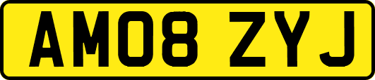 AM08ZYJ