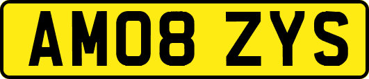 AM08ZYS