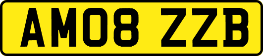 AM08ZZB