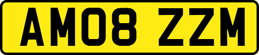 AM08ZZM
