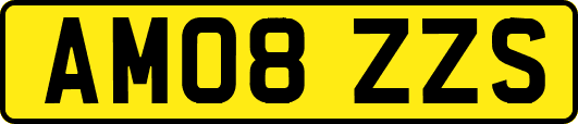 AM08ZZS