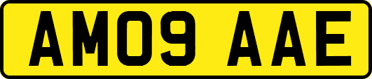 AM09AAE