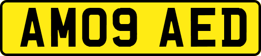 AM09AED