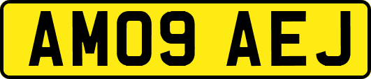 AM09AEJ