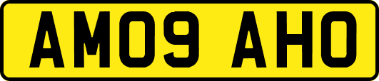 AM09AHO
