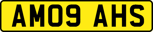 AM09AHS