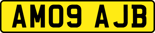 AM09AJB