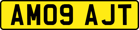 AM09AJT