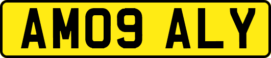 AM09ALY