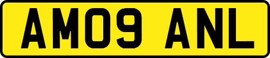 AM09ANL
