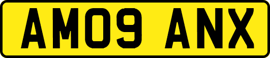 AM09ANX