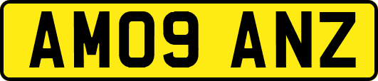 AM09ANZ