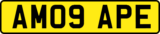 AM09APE