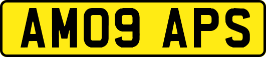 AM09APS
