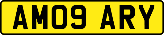 AM09ARY
