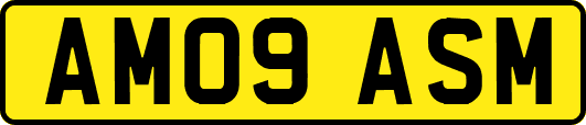 AM09ASM