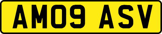 AM09ASV