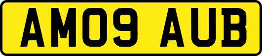 AM09AUB