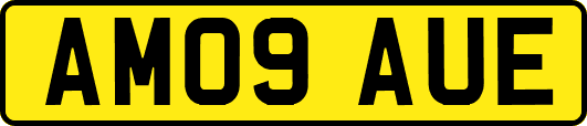 AM09AUE