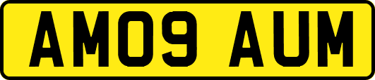 AM09AUM