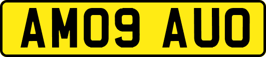 AM09AUO