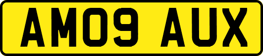 AM09AUX