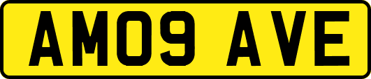 AM09AVE
