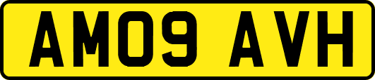 AM09AVH