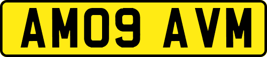 AM09AVM