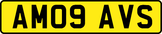 AM09AVS