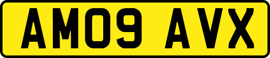 AM09AVX