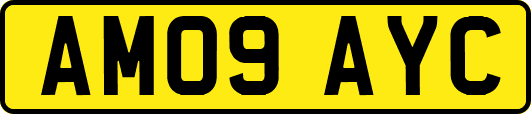 AM09AYC