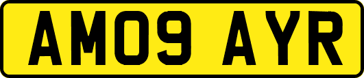 AM09AYR
