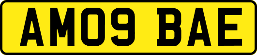 AM09BAE