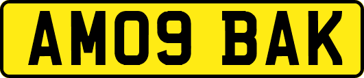 AM09BAK