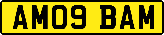 AM09BAM